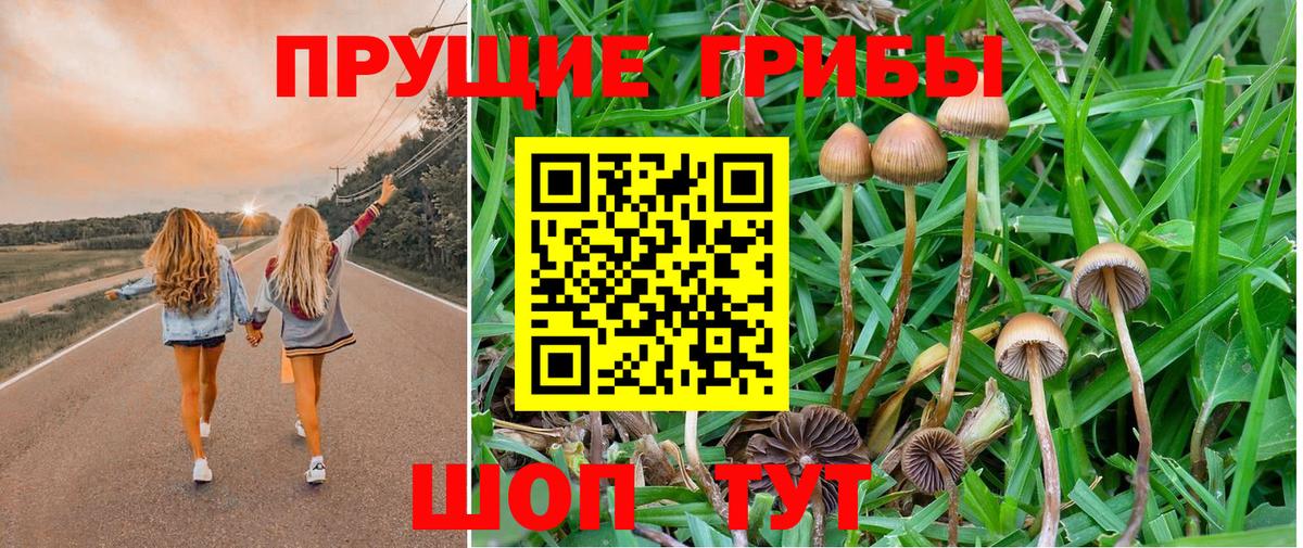 ГАШ  Вход с VPN  Канабис  NBOMe  Меф   Миллерово  Alpha PVP СК  