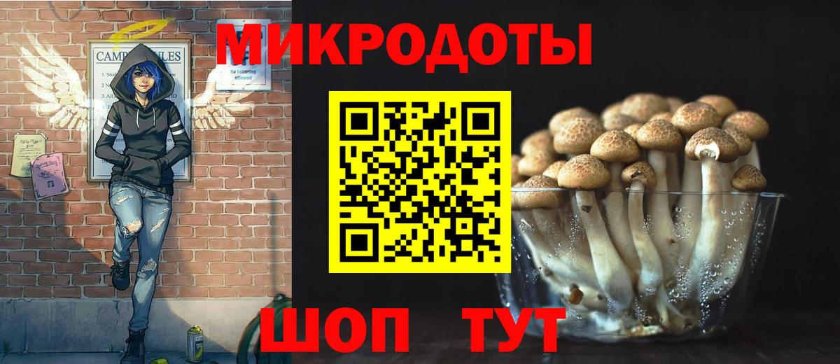Галлюциногенные грибы мухоморы Миллерово